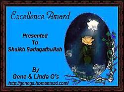 Excellence Award